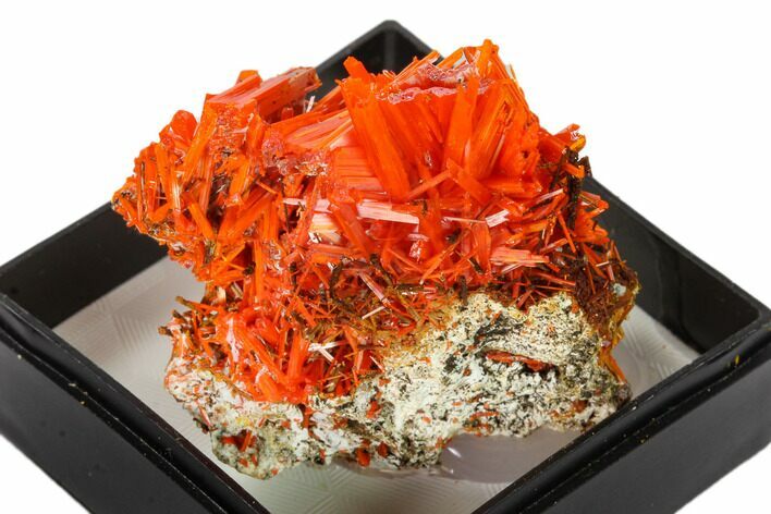 Bright Orange Crocoite Crystal Cluster - Tasmania #148496